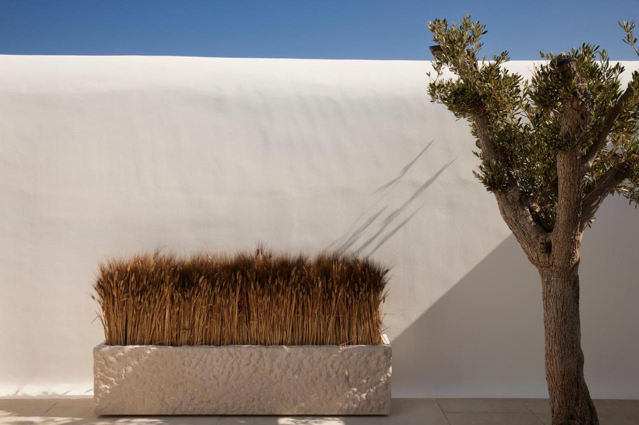 Kalesma Mykonos Hotel ออร์นอส ภายนอก รูปภาพ
